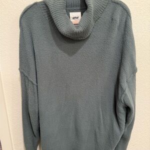 Aerie Soft Sage Green Turtleneck Sweater